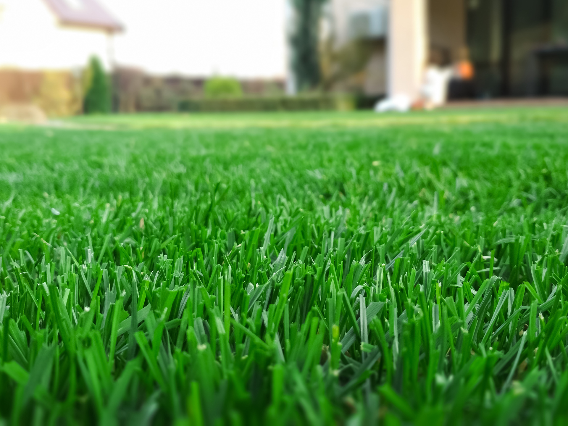 Lush Grass Lawncare