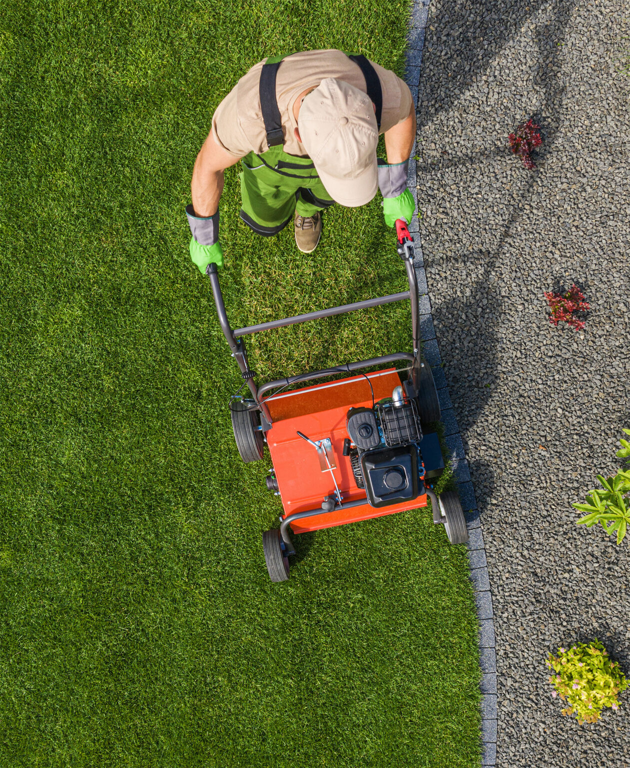 Edmonton Lawn Care Fertilization, Weed Control & More